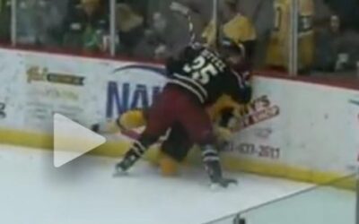 Bruins ambushed by Tauros