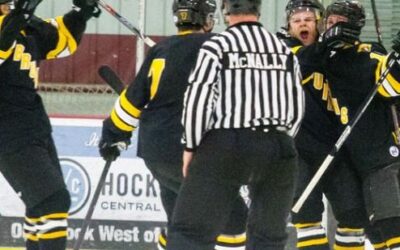 How Swede it is! Off to the Finals