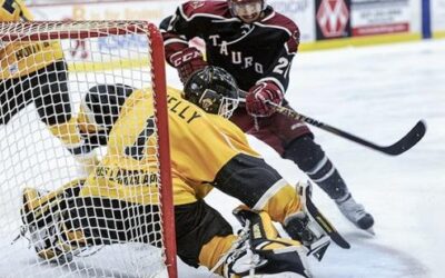 BRUINS ALUMNI REPORT: Bruins Alums Making Waves Early On