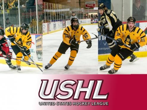 Three Bruins get USHL chance this weekend