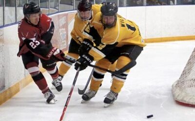 BRUINS ALUMNI REPORT: Wilkins shines in WJAC