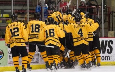 Misiak's OT heroics lift Bruins over Wings