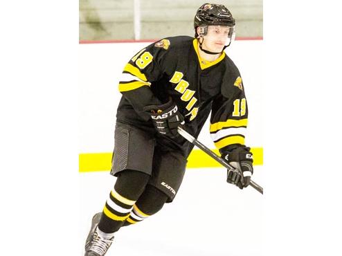 BRUINS ALUMNI REPORT: USHL box scores littered with former B's