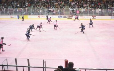 WEEKEND PREVIEW: Bruins look to snap skid with home weekend