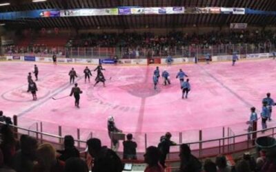 Bruins drop Pink Night thriller to Chill