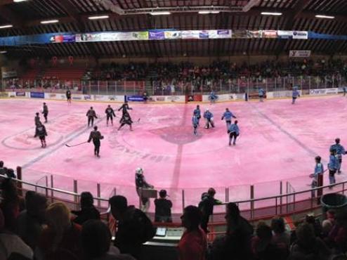 Bruins drop Pink Night thriller to Chill
