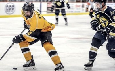 BRUINS ALUMNI REPORT: Wilkins paces Sioux City