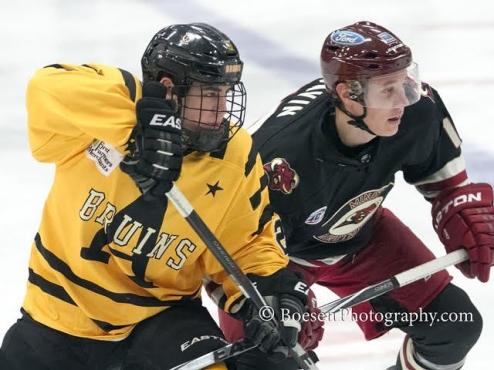 PLAYOFF PREVEW: Bruins and Minot face off for fourth year in a row