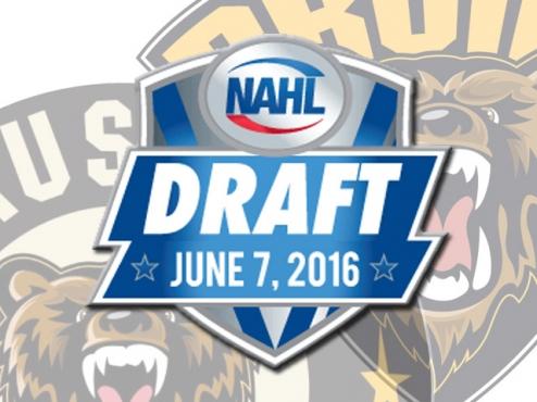Bruins Prepare for NAHL Draft