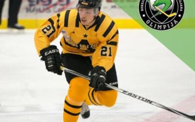 Gabor to play Pro Hockey in Europe