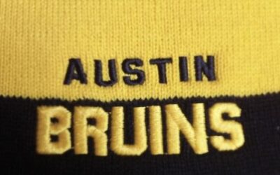 Bruins Beat Blizzard