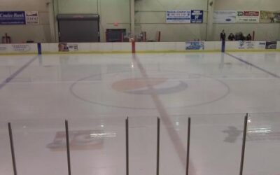 Bruins Win 6-3