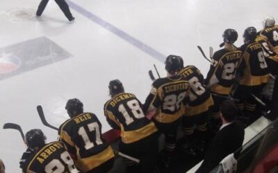 Austin Leads Series 2-1