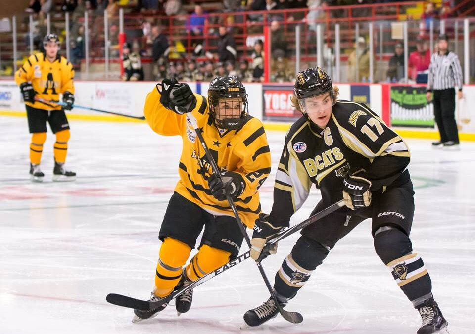 WEEKEND PREVIEW: Bruins and Bobcats Begin Heavy Head-to-Head