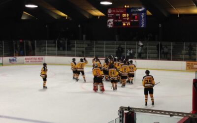 Bruins Rally in 3rd to Beat Magicians