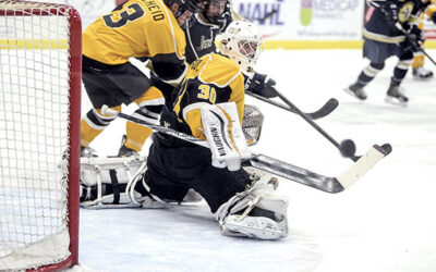 BRUINS ALUMNI REPORT: Former B’s light up DI Docket
