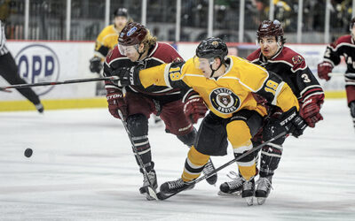 Bruins Alumni Report: Sturm, Dodd Score First College Goals