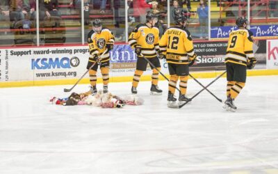 Teddy Bears Fly, But Bruins Fall to Wings