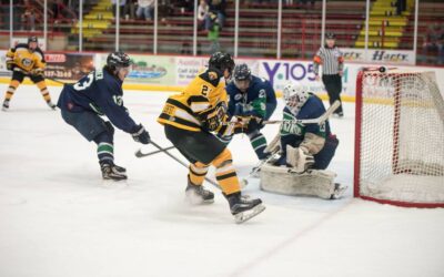Boyko Stifles Bruins as Blizzard Sweep