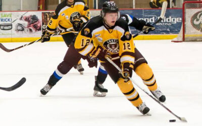 Bruins Tender Three Forwards