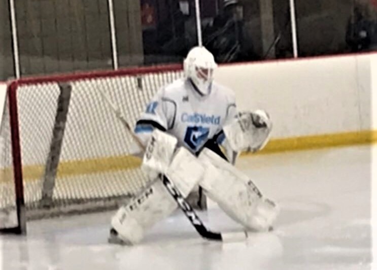 Bruins Tender CarShield Goalie McClellan