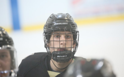 Bruins Tender Defenseman Gudme