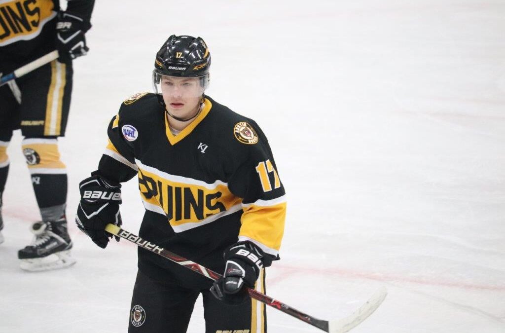 Ahlberg’s Hat Trick Headlines Bruins Offensive Explosion