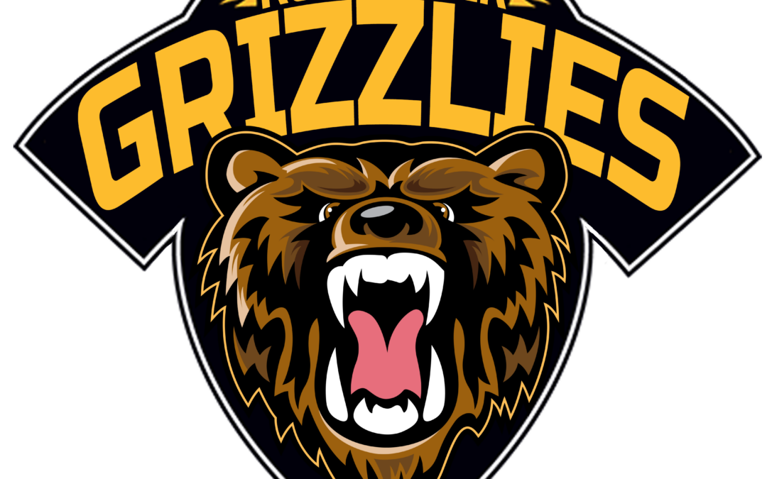 BRUINS PURCHASE NA3HL FRANCHISE IN ROCHESTER