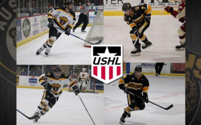 Four Bruins, One Tender Selected in USHL Phase II Draft
