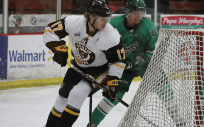 Third Period Push Powers Bruins Past Wilderness