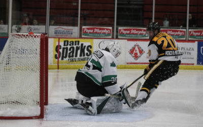 Spirited Third Period Comes Up Short for Bruins, Steel Win 3-1