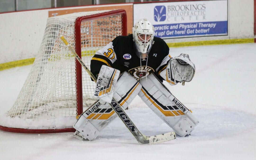 Austin Gets Crucial Standings Point in Shooutout Loss to Wings