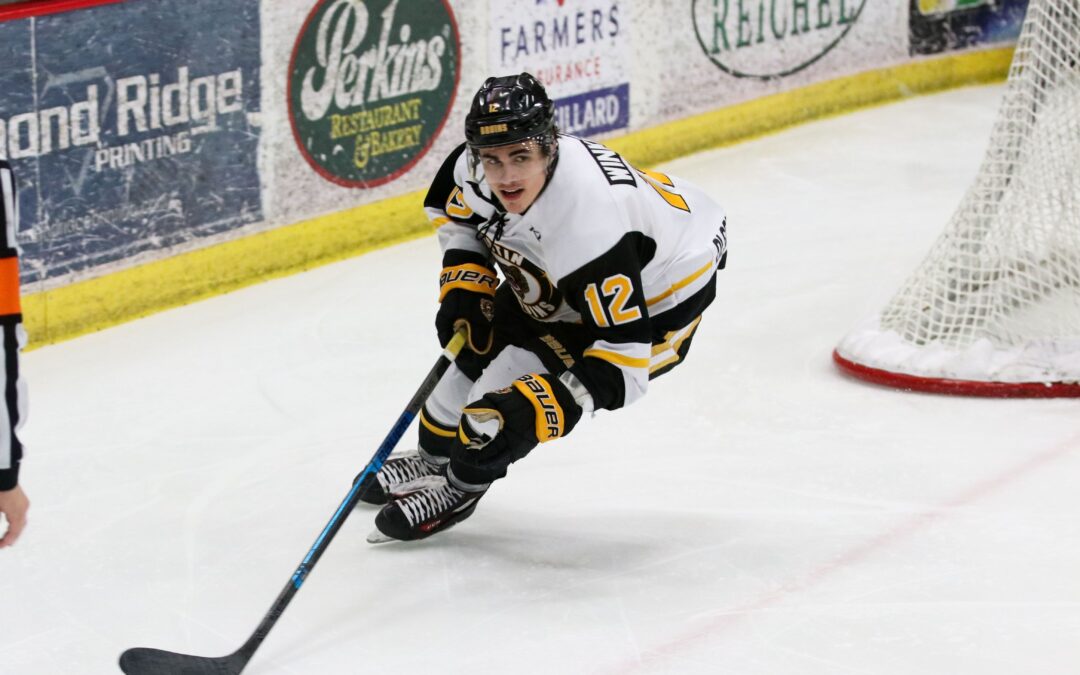 Bruins Doubled Up By Aberdeen, 6-3