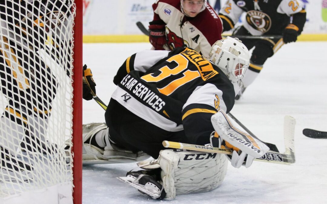 Bruins Blanked By Tauros, 2-0