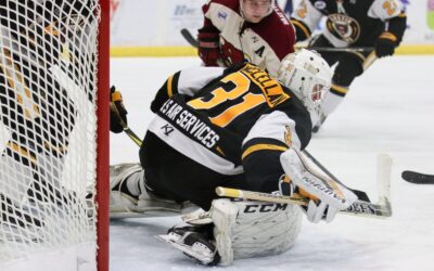 Bruins Blanked By Tauros, 2-0