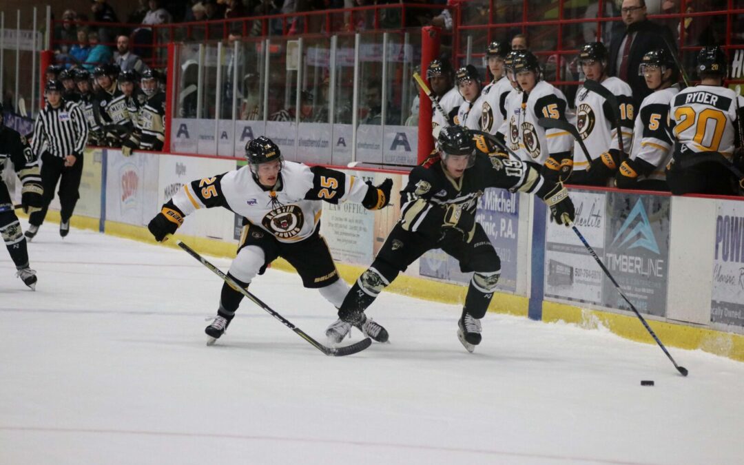 Comeback Misses the Mark, Bruins Doubled Up By Bobcats 4-2