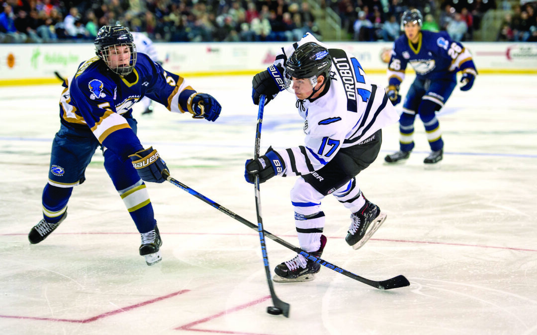 BRUINS ALUMNI REPORT: Fazio Contributing in ECHL, Drobot Captaining Fargo Through Stretch