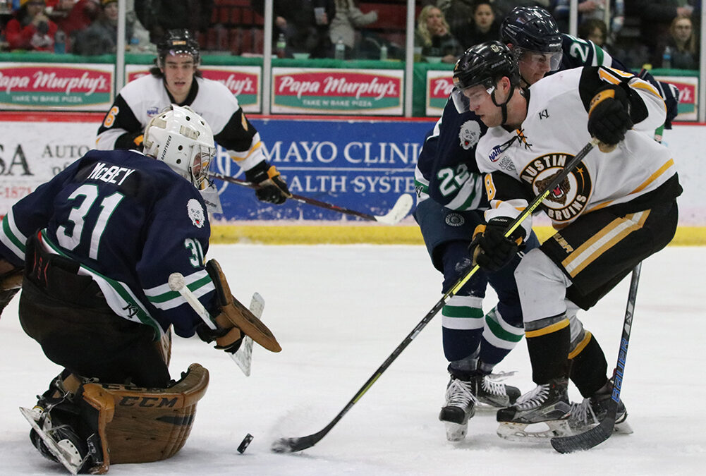 Hot Goaltender Stifles Bruins, Fall to Blizzard 4-1