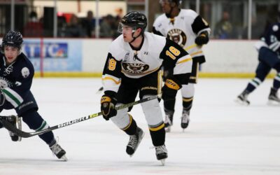 Larkin’s Hat-Trick Sends Bruins Past Blizzard, Into Postseason