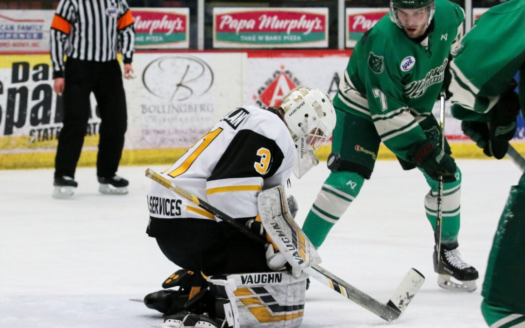 Bruins Inch Closer to Playoffs with 3-1 Win Over Wilderness