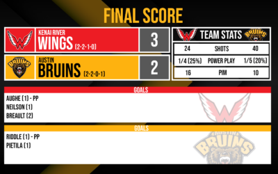 Late Push Comes Up Short as Bruins Fall to Wings, 3-2
