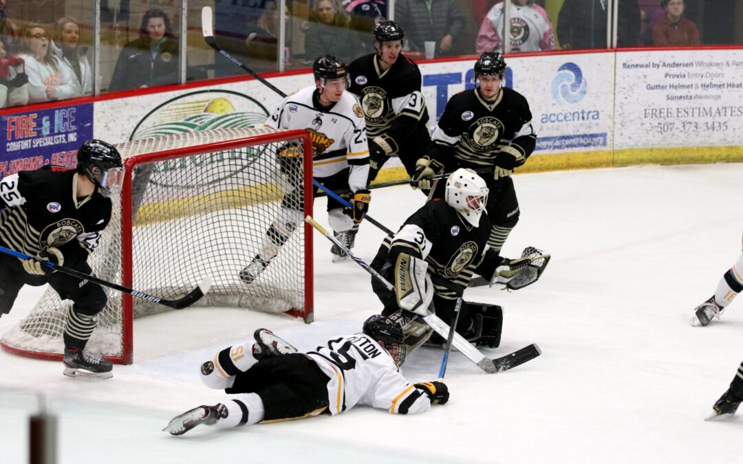 Bruins Surrender Three Unanswered Goals, Drop Close One to Bismarck, 3-2