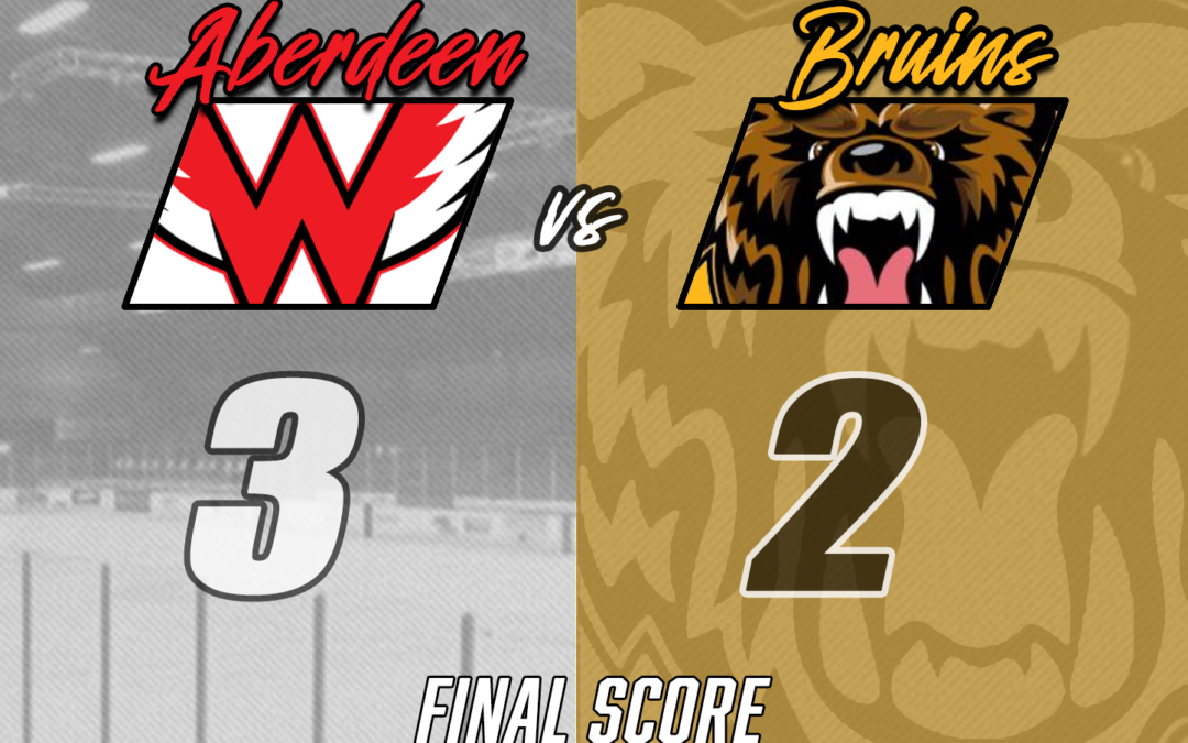 Comeback Falls Short, Bruins Defeated By Wings 3-2