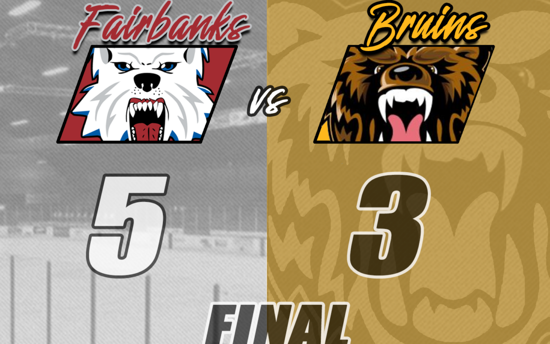 Bruins Bit By Ice Dogs, 5-3