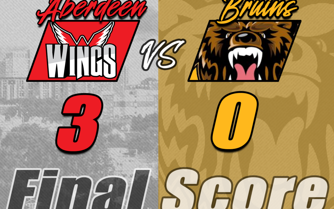 Wings Blank Bruins in Series Opener