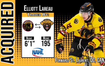 Bruins Acquire Forward Elliott Lareau from Maryland