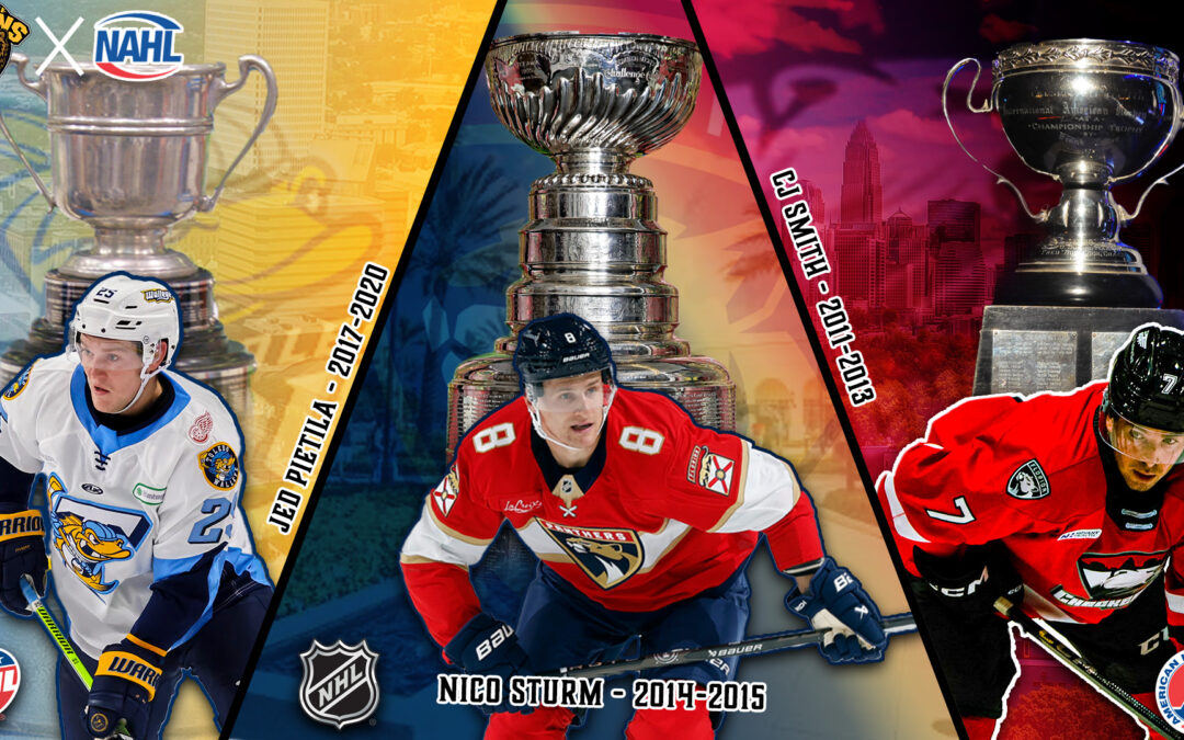 Once a Bruin, Still a Contender: Sturm, Smith & Pietila Battle for League Crowns