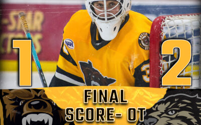 Bruins Fall Short in Overtime